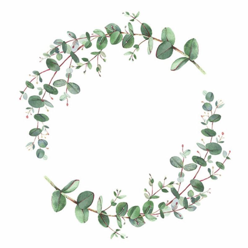 Lunsj servietter Eucalyptus