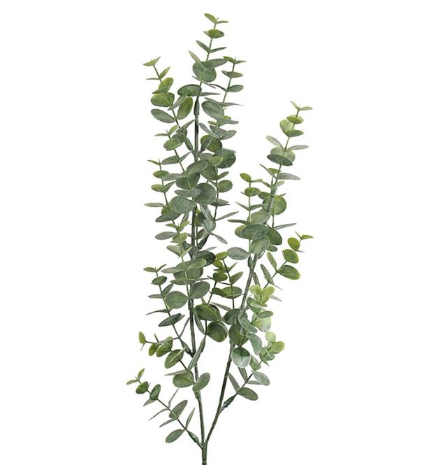 Hovedbilde Eucalyptus gren 74cm