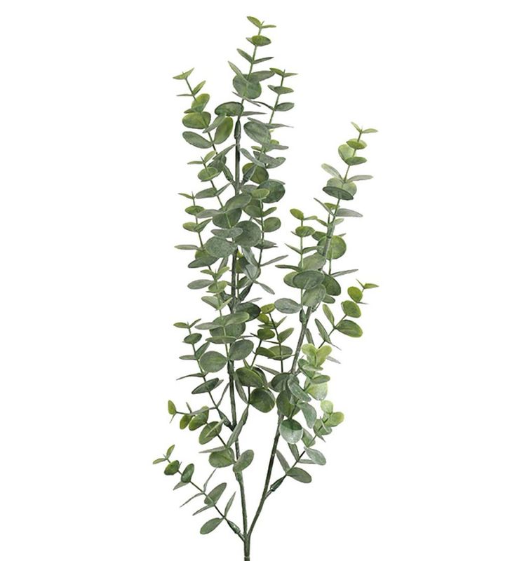Eucalyptus gren 74cm