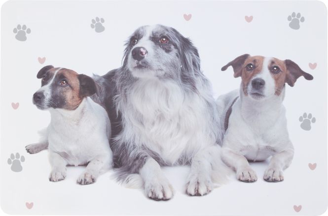 Hovedbilde Spisebrikke dyremotiv hund 2ass
