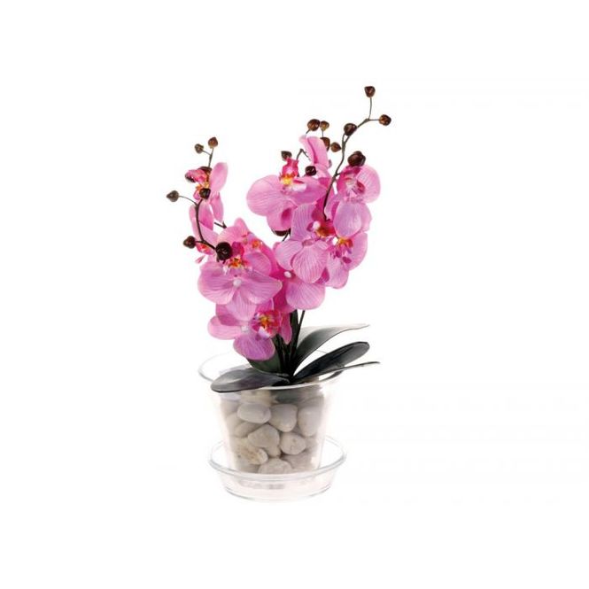 Hovedbilde Orkide potte med fat blank Ø15cm H14cm