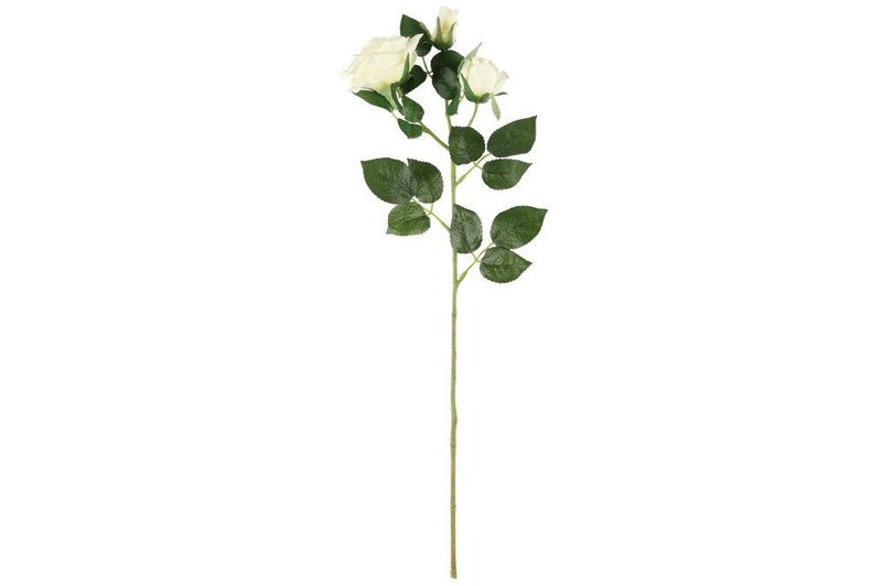 Rose Hvit 63cm