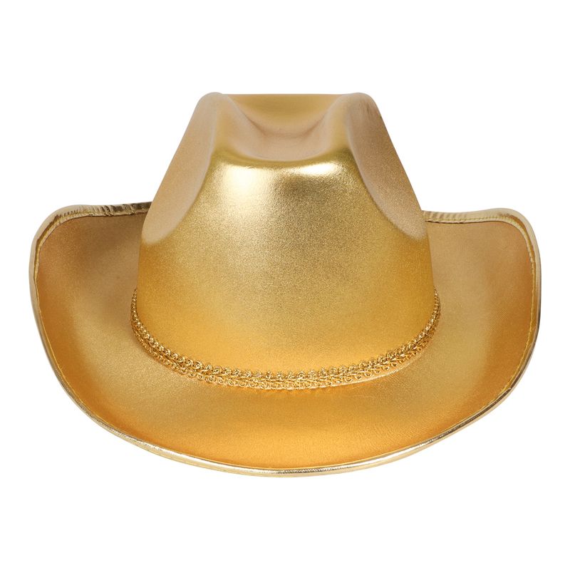 Cowboyhatt Gull