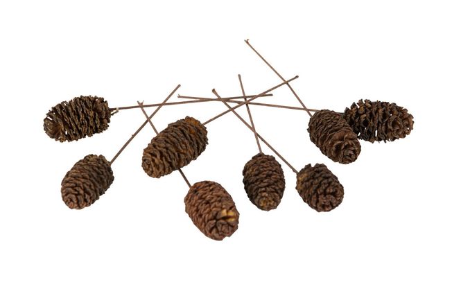 Hovedbilde Kongle stick 3cm