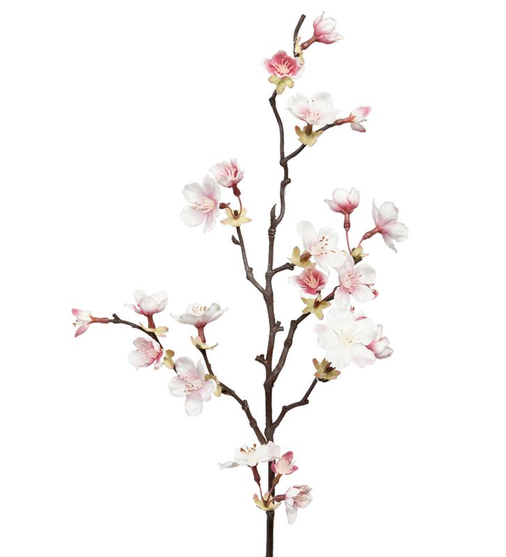 Kirsebær gren 60cm Rosa