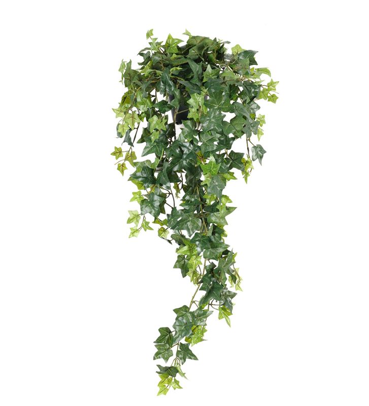 Eføy lengde 85cm