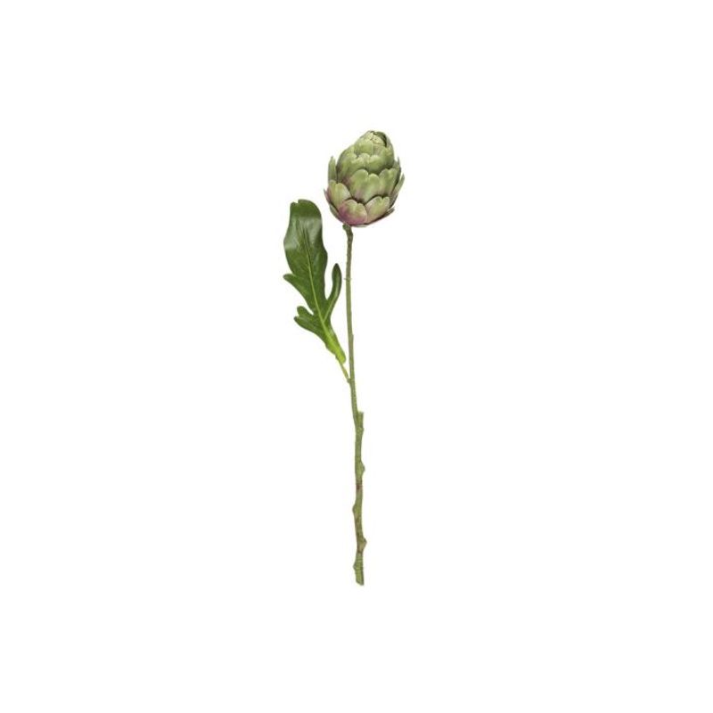 Artisjokk 47cm 2ass farger