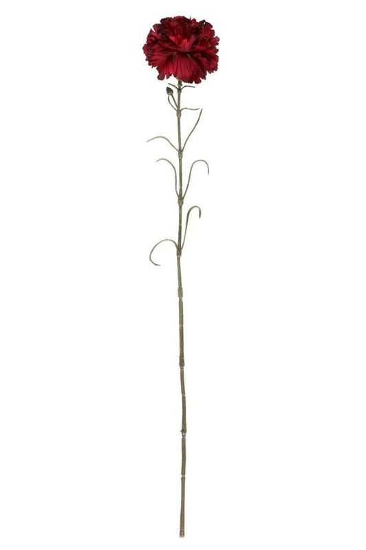 Nellik 66cm 3ass farger