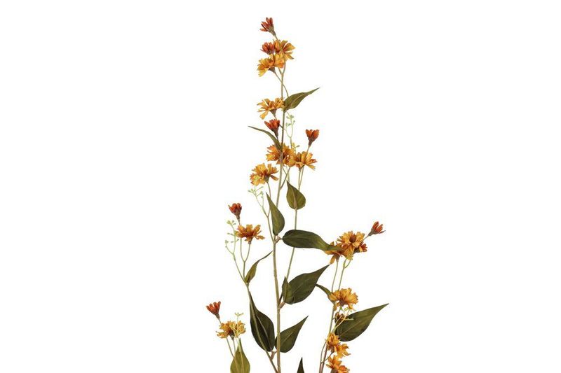 Hieracium 102cm 3ass farger