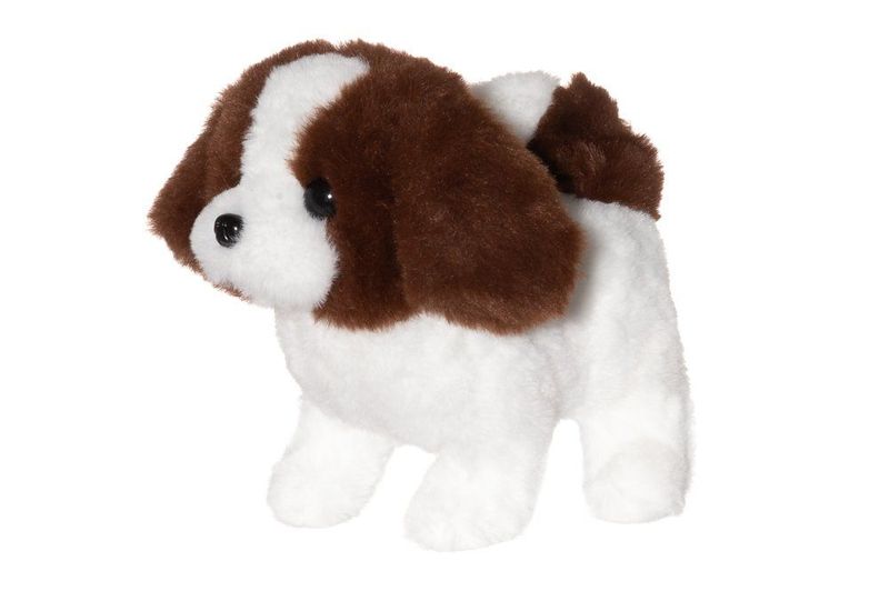 Hund med bæreveske 